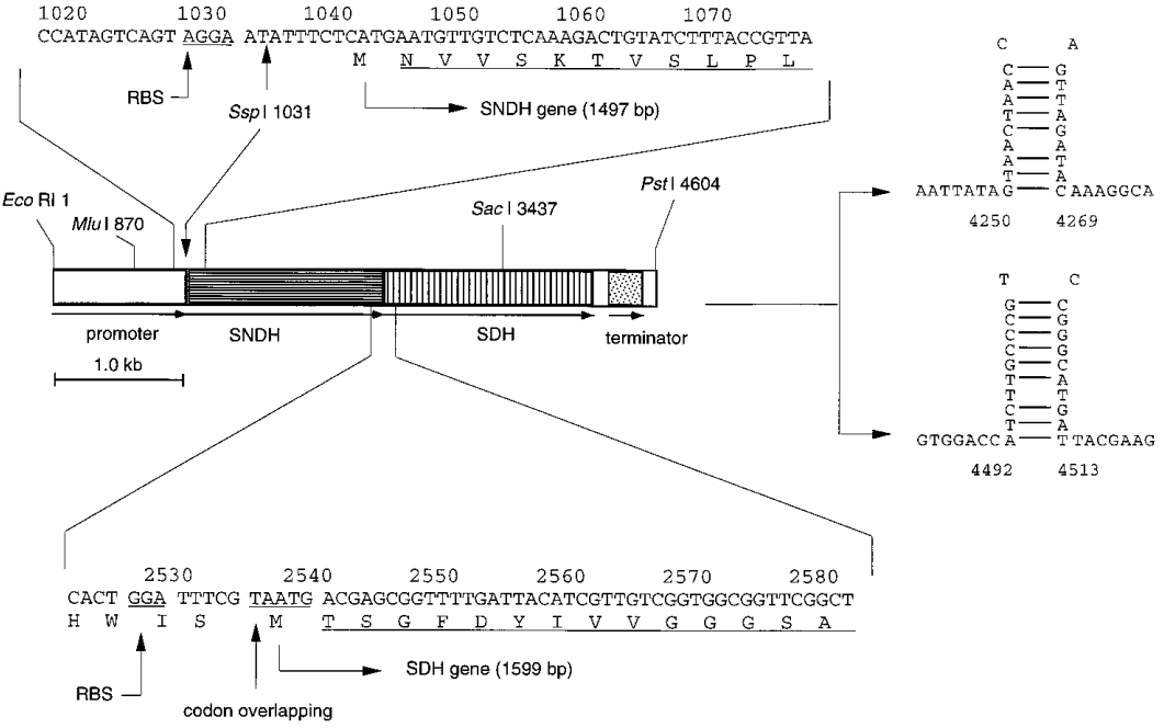 173018751493814850.png 图片84.png