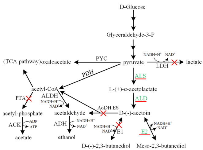 173018759766516588.png 图片85.png