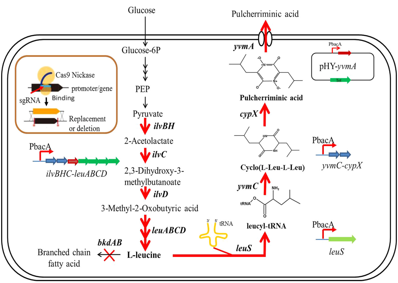 173018763975526097.png 图片86.png