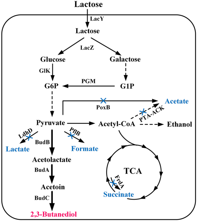 173018803140208362.png 图片91.png