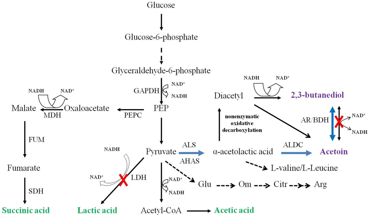 173018807263464860.png 图片92.png