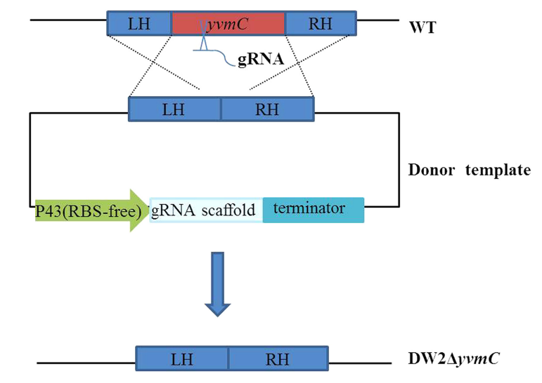 173189855869638059.png 图片2.png