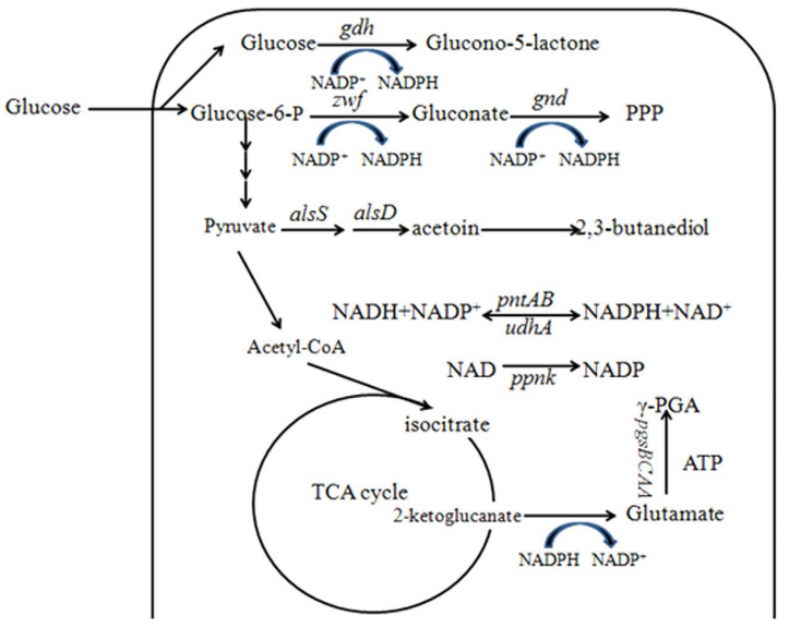 173189888750355155.png 图片4.png