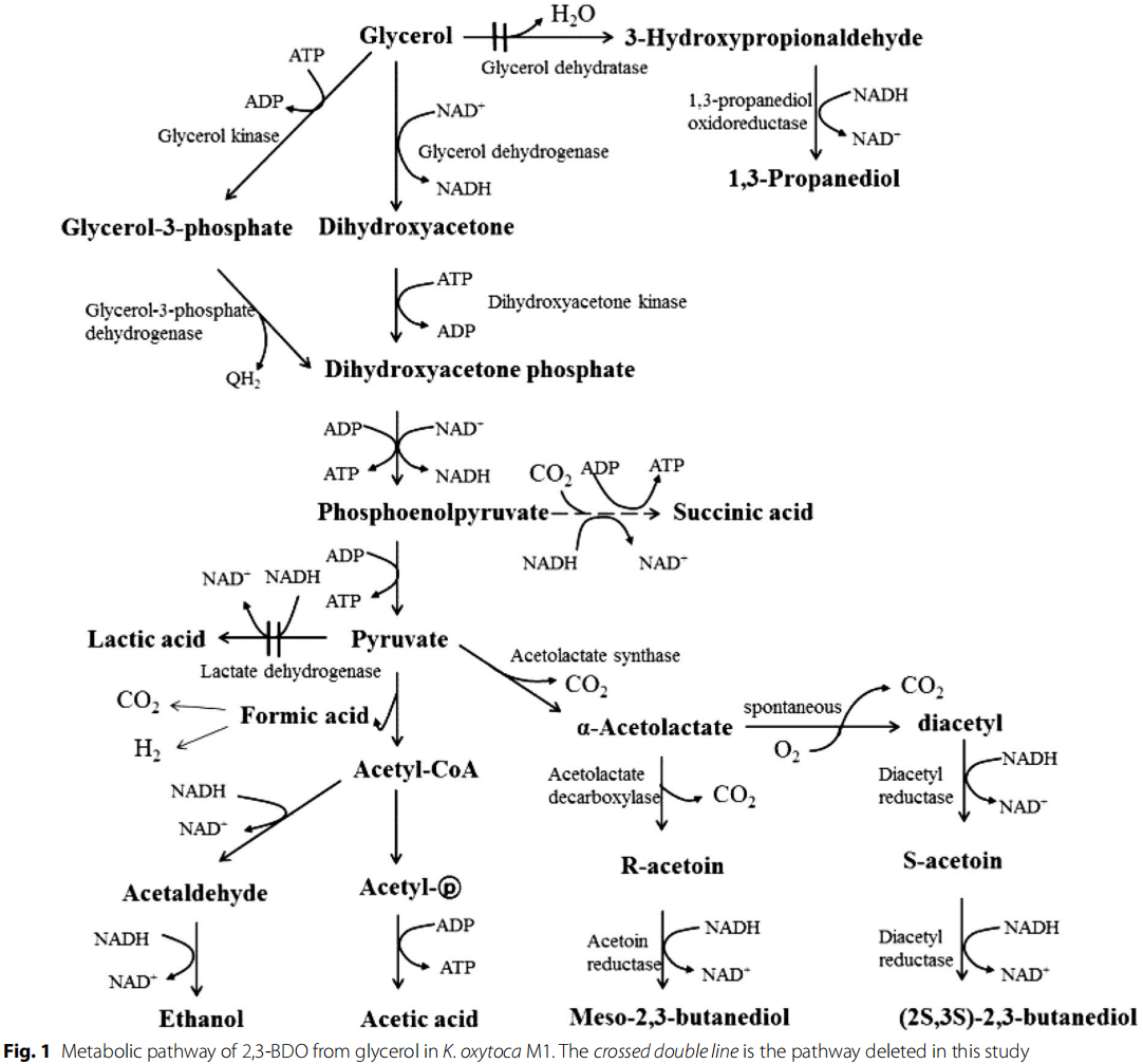 173189893516496258.png 图片5.png