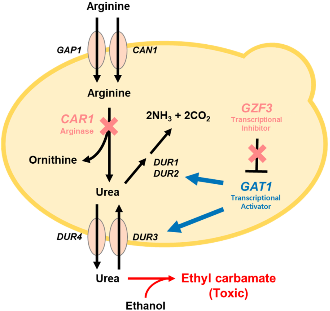 173189906045525248.png 图片6.png