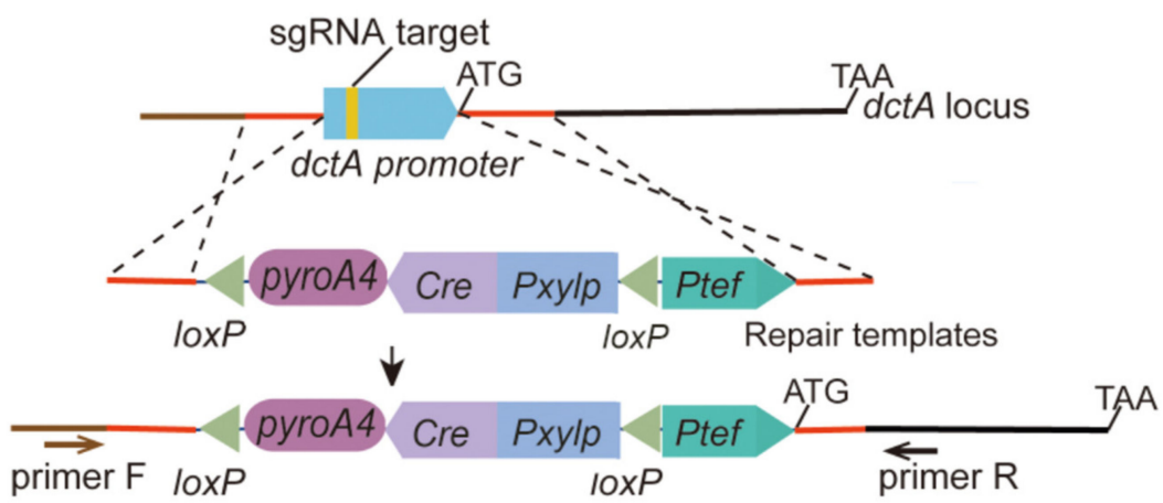 173189928860737054.png 图片8.png