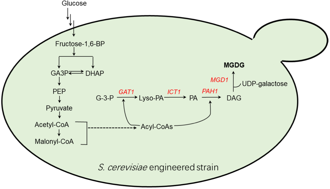 173189941216504924.png 图片9.png