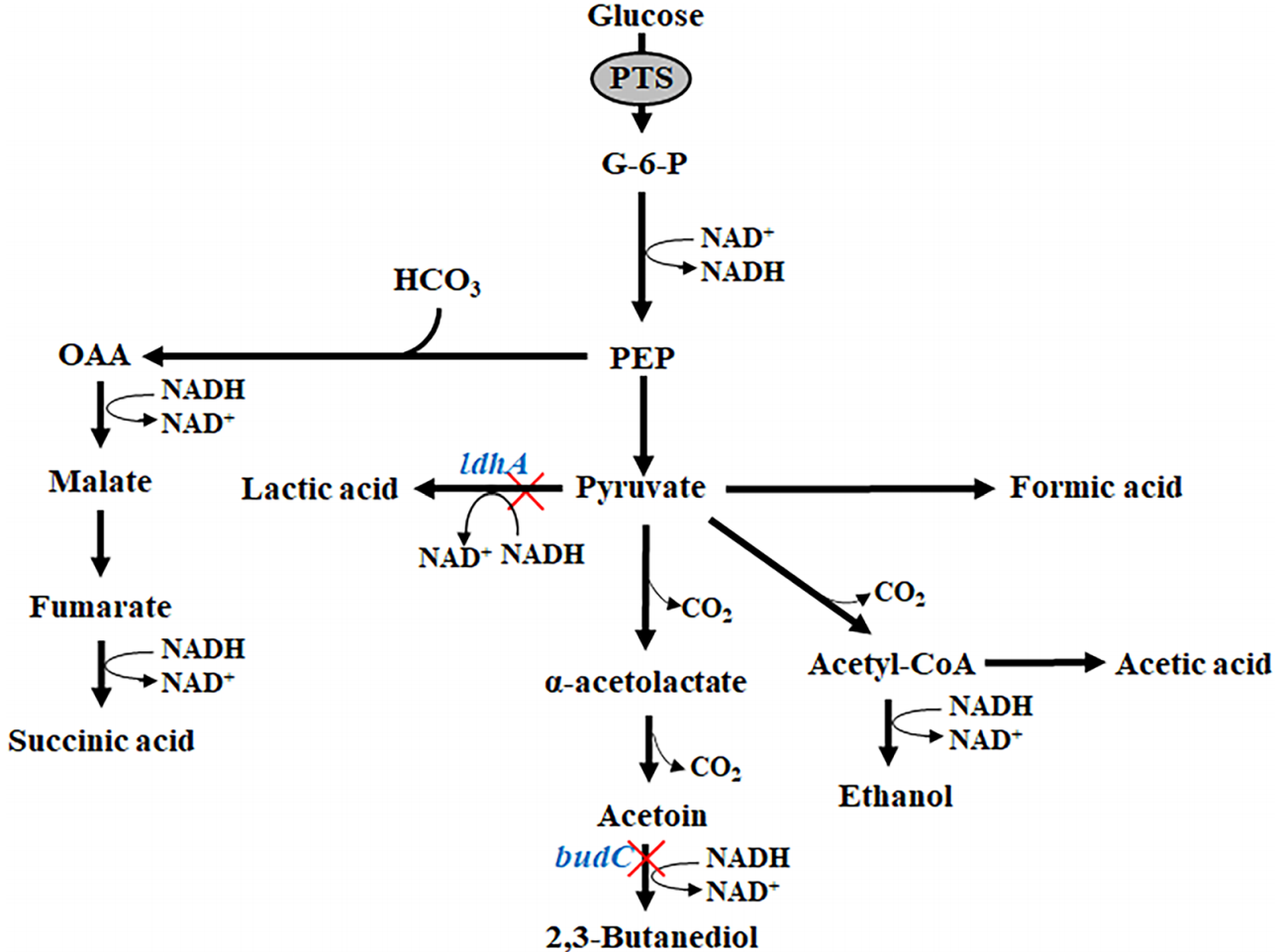 173189947395681844.png 图片10.png