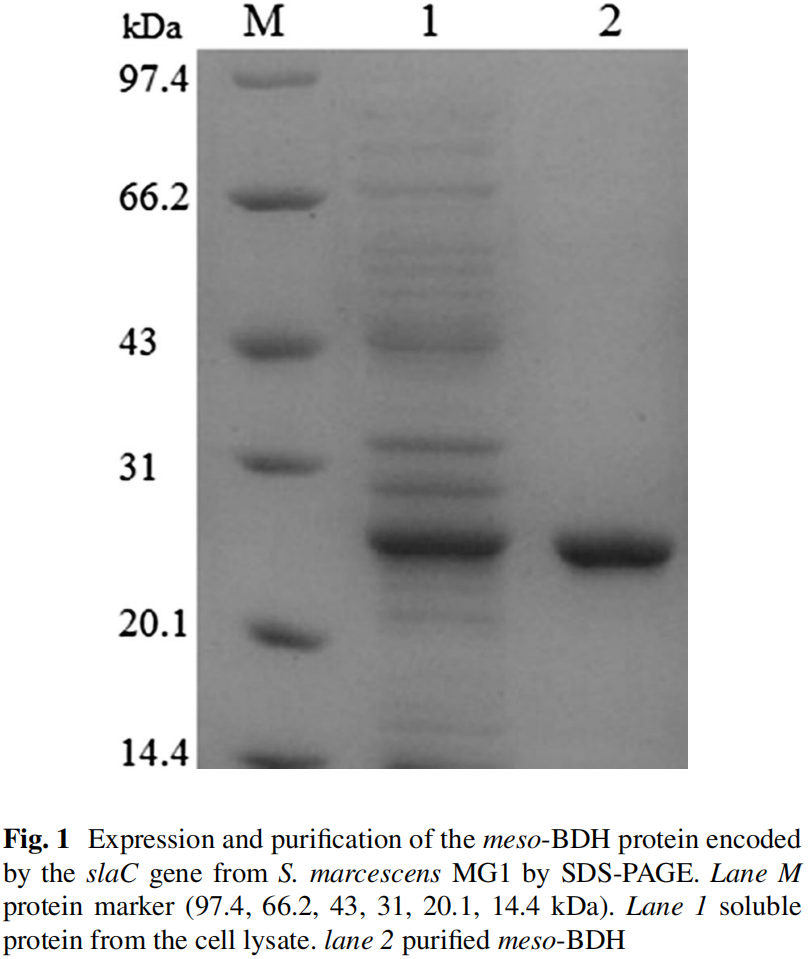 173189970036907865.png 图片12.png