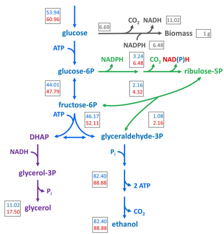 173190047921622438.png 图片14.png