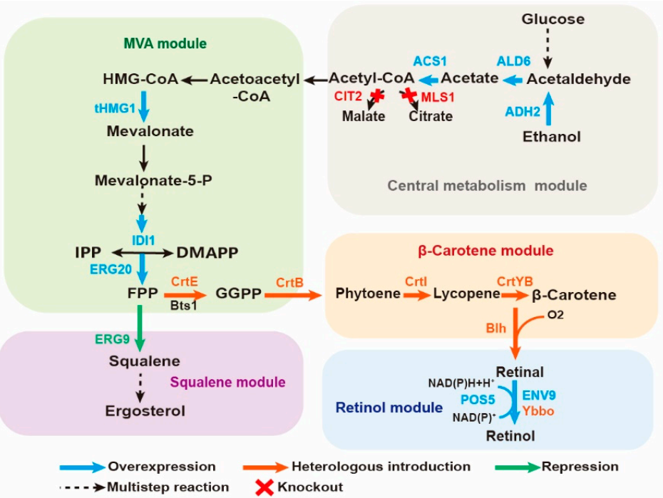 173190102682911223.png 图片16.png
