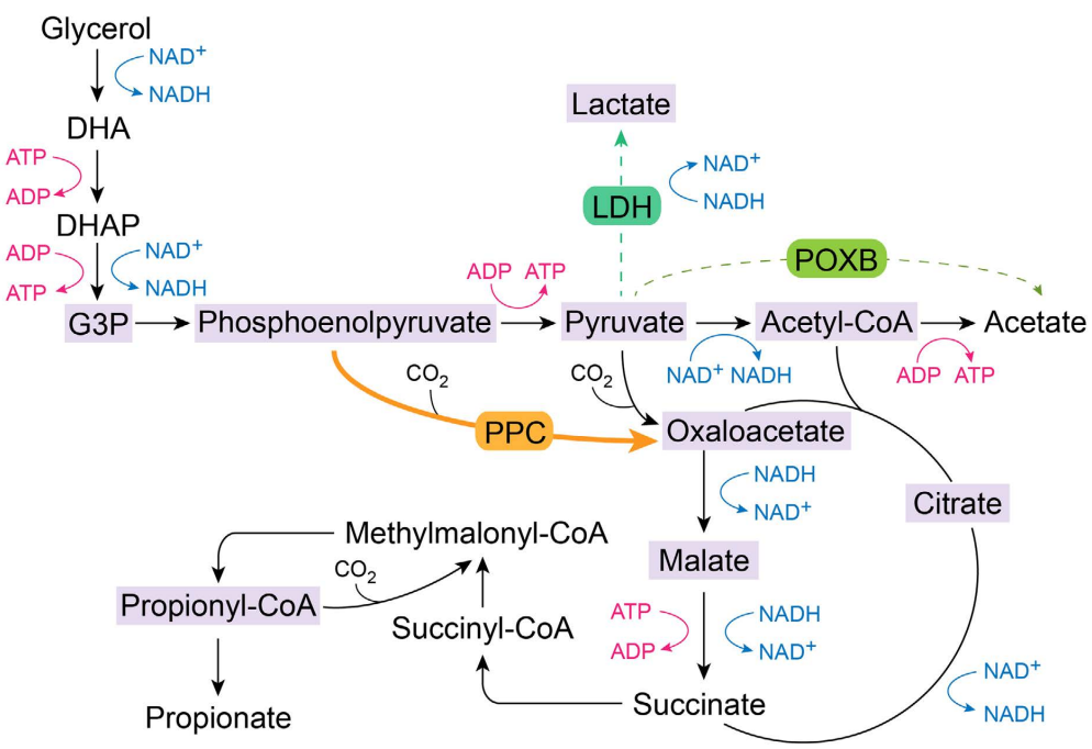 173190819225951746.png 图片17.png