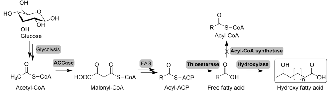 173190837962481995.png 图片19.png
