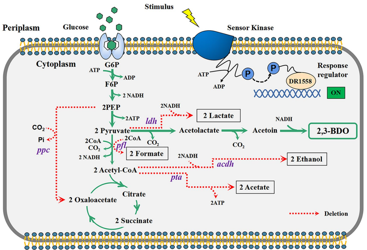 173190893027228470.png 图片23.png