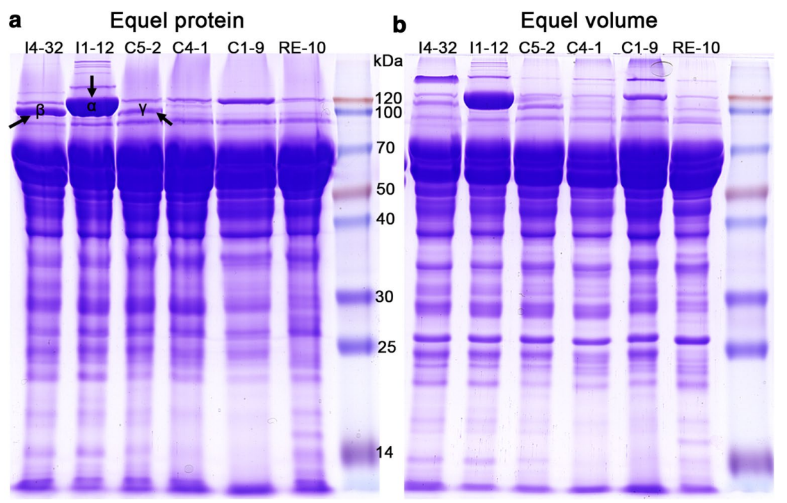 173190899196778875.png 图片24.png