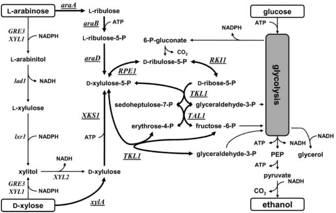 173190934653019653.png 图片25.png