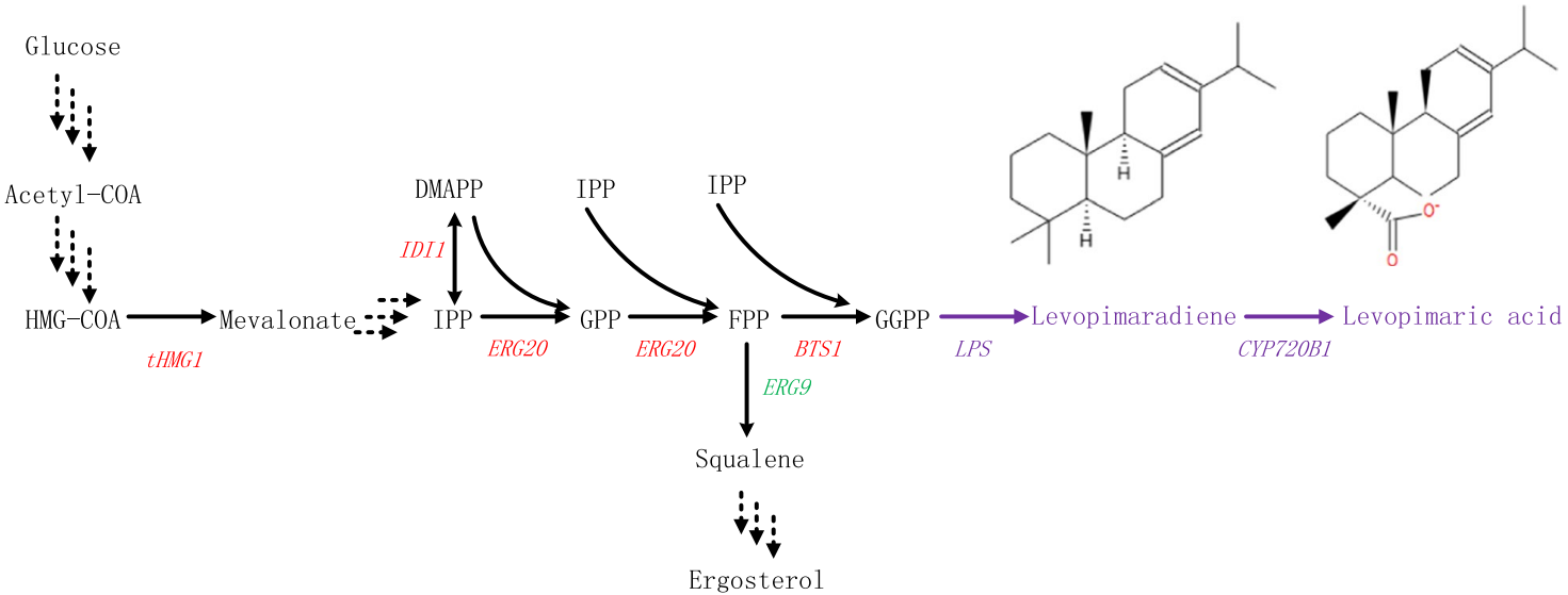 173190986624455349.png 图片27.png