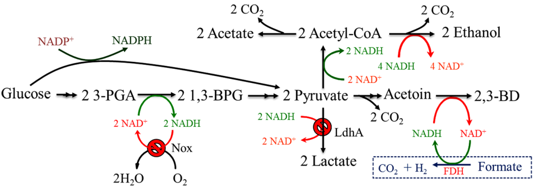 173191000979710325.png 图片29.png