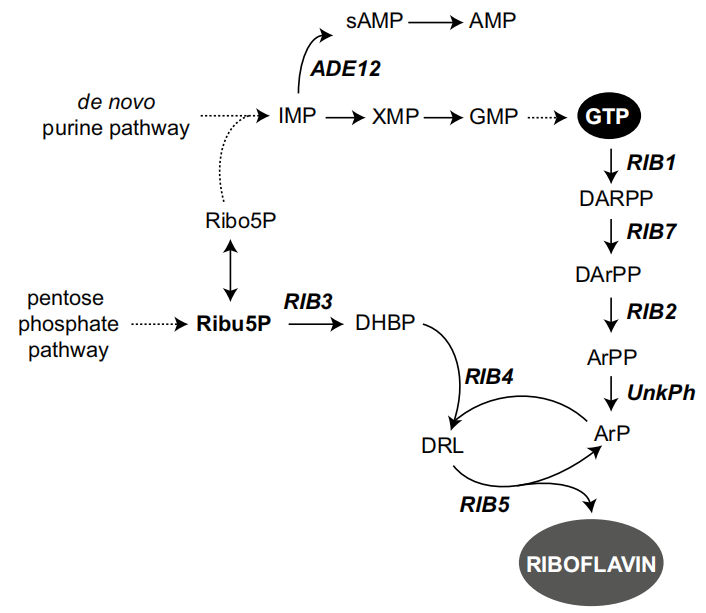 173191047639649832.png 图片35.png