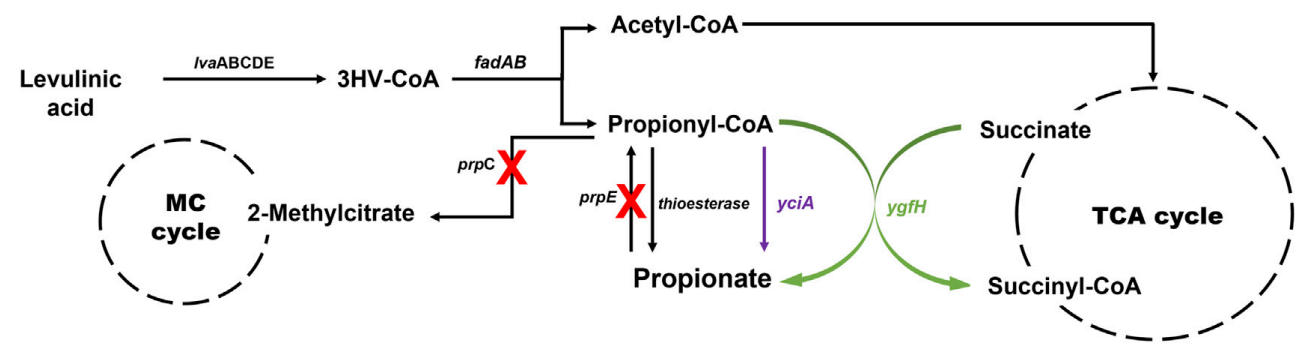 173191052965426402.png 图片36.png