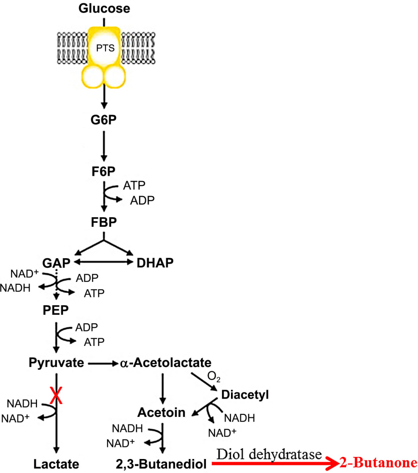 173191058480700255.png 图片37.png