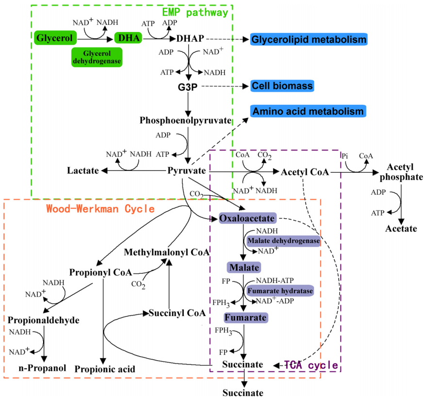 173191063481330677.png 图片38.png