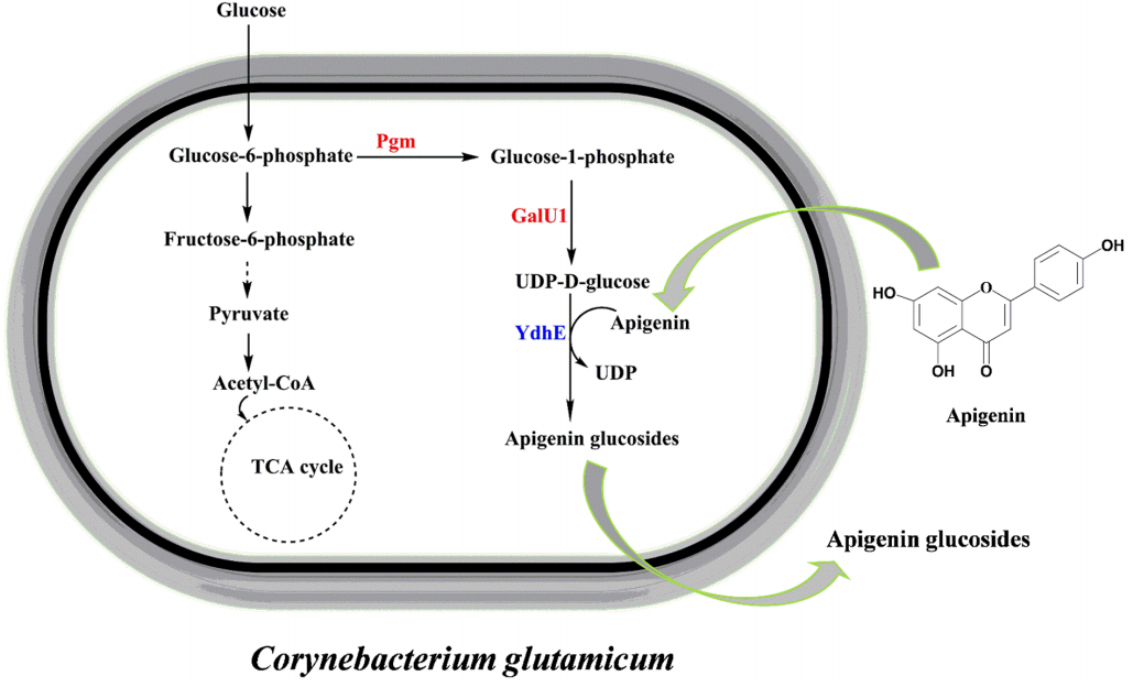 173191090310006464.png 图片42.png