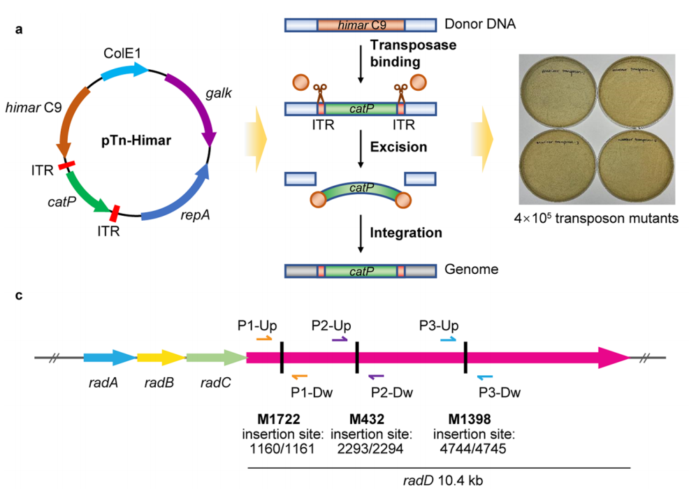 173328332296858465.png 图片1.png