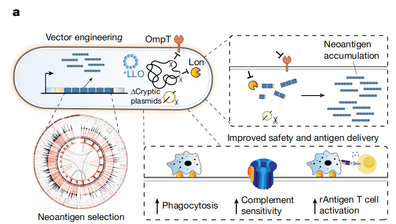 173329795761409881.png ce440d10aaa009ce276642b79043a64e.png